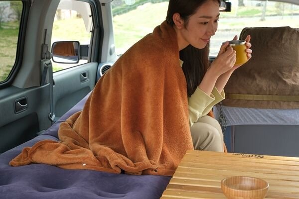 アイリスオーヤマの毛布