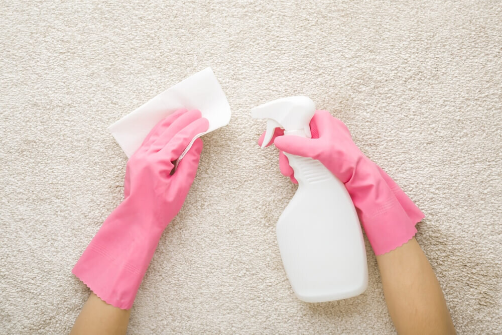 カーペットの掃除をするゴム手袋をつけた女性