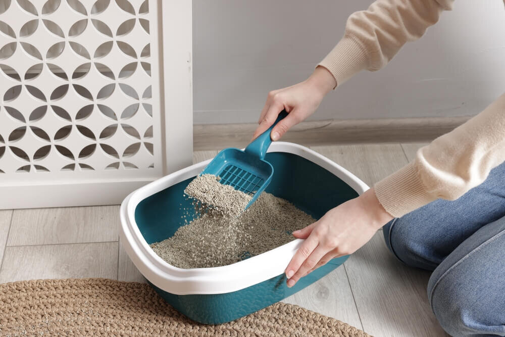 猫砂をスコップで取り出す女性