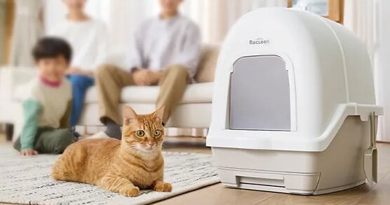 アイリスオーヤマのシステムトイレの横に座る猫