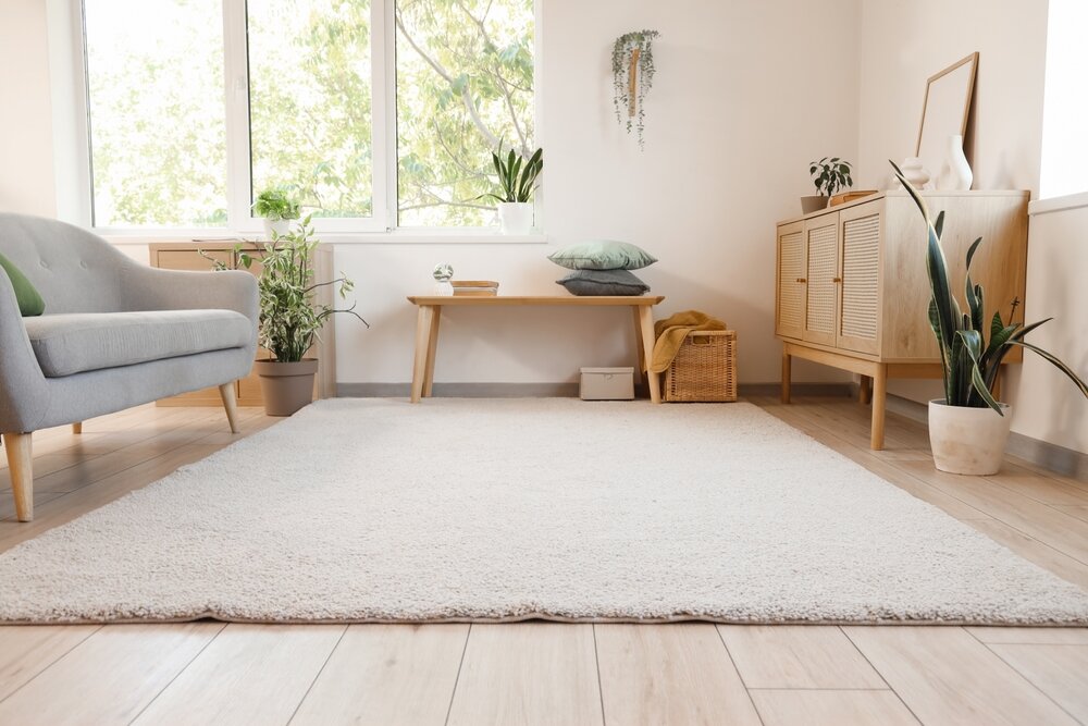 カーペットの敷かれた部屋