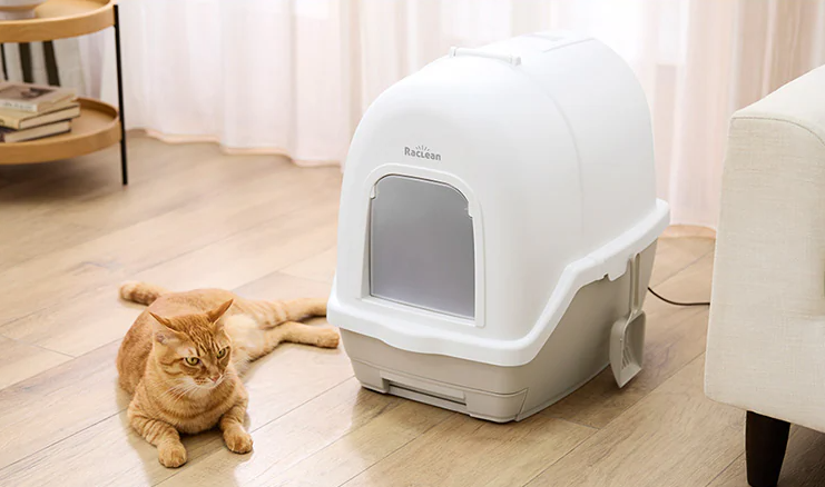 猫とトイレ