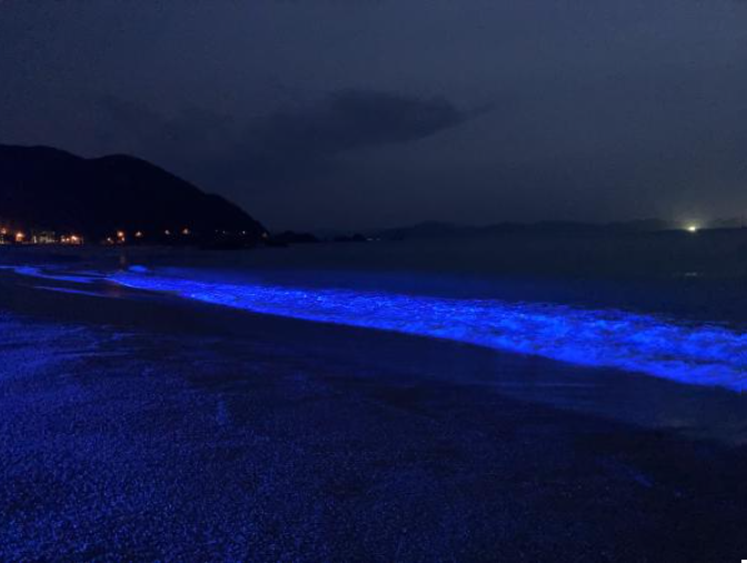 日本海側初開催！光の波プロジェクトin水晶浜