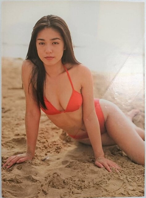 加藤紀子さんのプロフィール