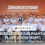 【当世海外事情】BRIDGESTONE KALIMANTAN PLANTATION