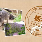 【わが町 わが職場 わが仲間】栃木県（後編）