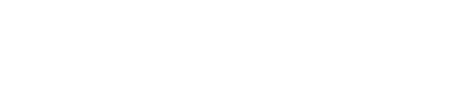 2020- Bridgestone 3.0