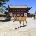 情侶去奈良旅行的好去處~19間奈良推薦旅館懶人包