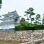 【タイが泳ぐ「縁起の良い」お城?】すぐそこに海が感じられる高松城(香川県)