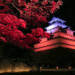全国より厳選!この秋行きたい紅葉がきれいな城10選