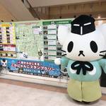 【 鷹見泉石、足利成氏、源頼政…】ご当地キャラ「こがにゃんこ」とめぐる古河のヒーローゆかりの地