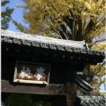【足利学校、鑁阿寺、美人弁天まで】足利氏ゆかりの地・足利市のオススメ史跡