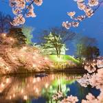 【 春の最強コンビ 】全国より厳選!桜がきれいな城10選