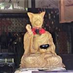 やっぱり猫が好き!?武将ゆかりの猫寺&猫神社