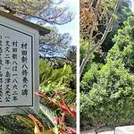 村田新八、川口雪篷…西郷だけじゃない!遠島となった人物と現地での生活
