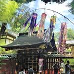 【今年も開催!仙台七夕まつり】伊達政宗公の時代から続く日本一の七夕を楽しもう