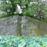 西南戦争の跡も残る薩摩藩島津家の本城「鹿児島城」【月刊 日本の城】