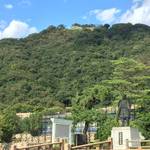 【鳥取城渇え殺し】城兵の命と引き換えに自刃した吉川経家