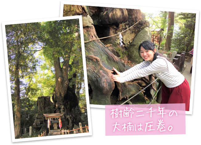 熱海歴女子旅・來宮神社