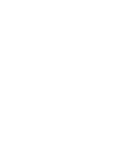 長崎ヴェルカ