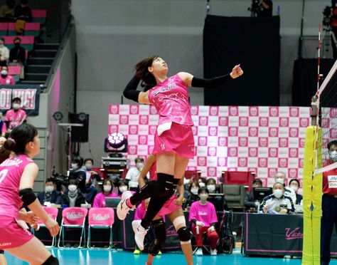 ヴィクトリーナ姫路とオフィシャルスポンサー契約を
2017年に締結しました。