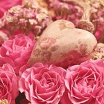 大人も楽しめる工作で、バレンタインをもっと楽しもう♪ おしゃれ工作アイデア集