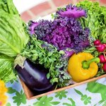 「無添加」食品をネットで！無添加食品専門の通販ショップまとめ