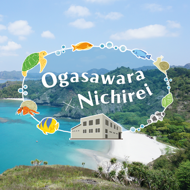 Part1 Ogasawara Village and Nichirei, Connected by an Ice Plant