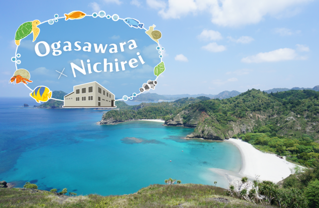 Part1 Ogasawara Village and Nichirei, Connected by an Ice Plant