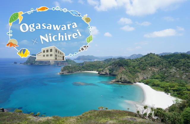 Part1 Ogasawara Village and Nichirei, Connected by an Ice Plant