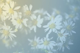 彼と結婚できる強力なおまじない９つ Relia リリア