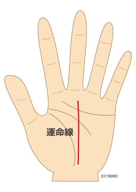 あなたの人生は 手相 運命線 の見方 Relia リリア