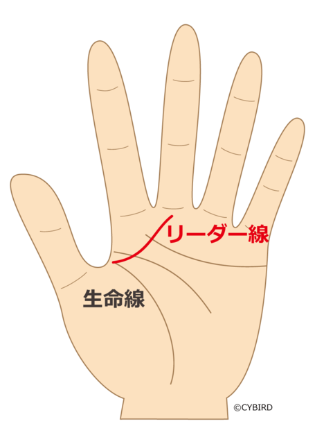手相で見る 理想の上司 カリスマ線 リーダー線 向上線 愛情線 Relia リリア