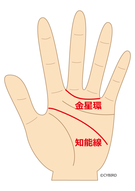 彼の手相を見てみよう 理系 文系 芸術家 スポーツマン 手相で見る適性診断 Relia リリア