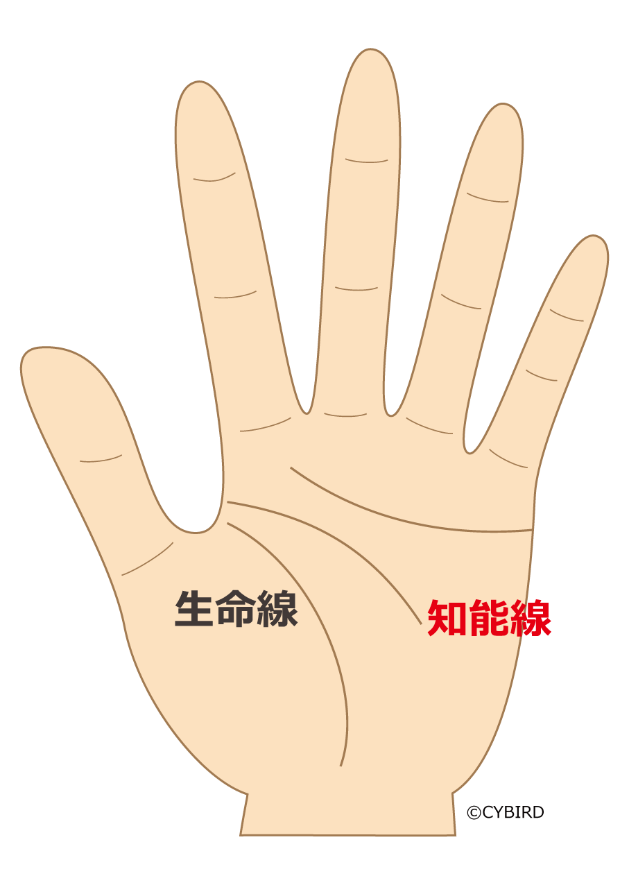 【知能線にスターがあらわれるのは心身を休めよというサイン】