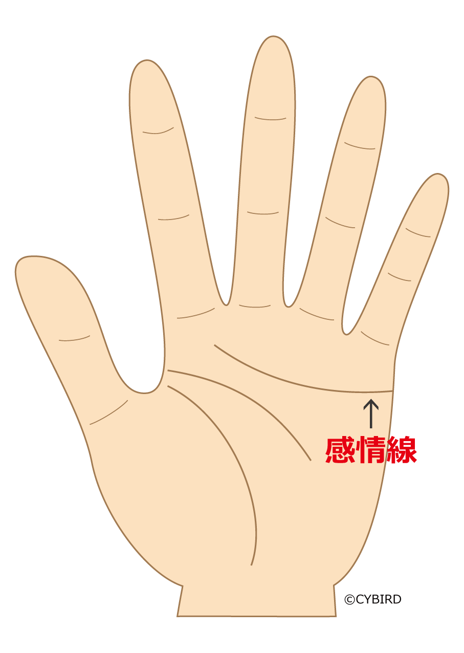 【感情線にスターがあらわれたら感情のもつれに注意を】