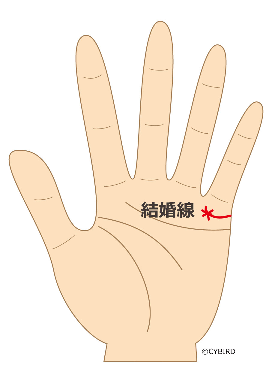 玉の輿線