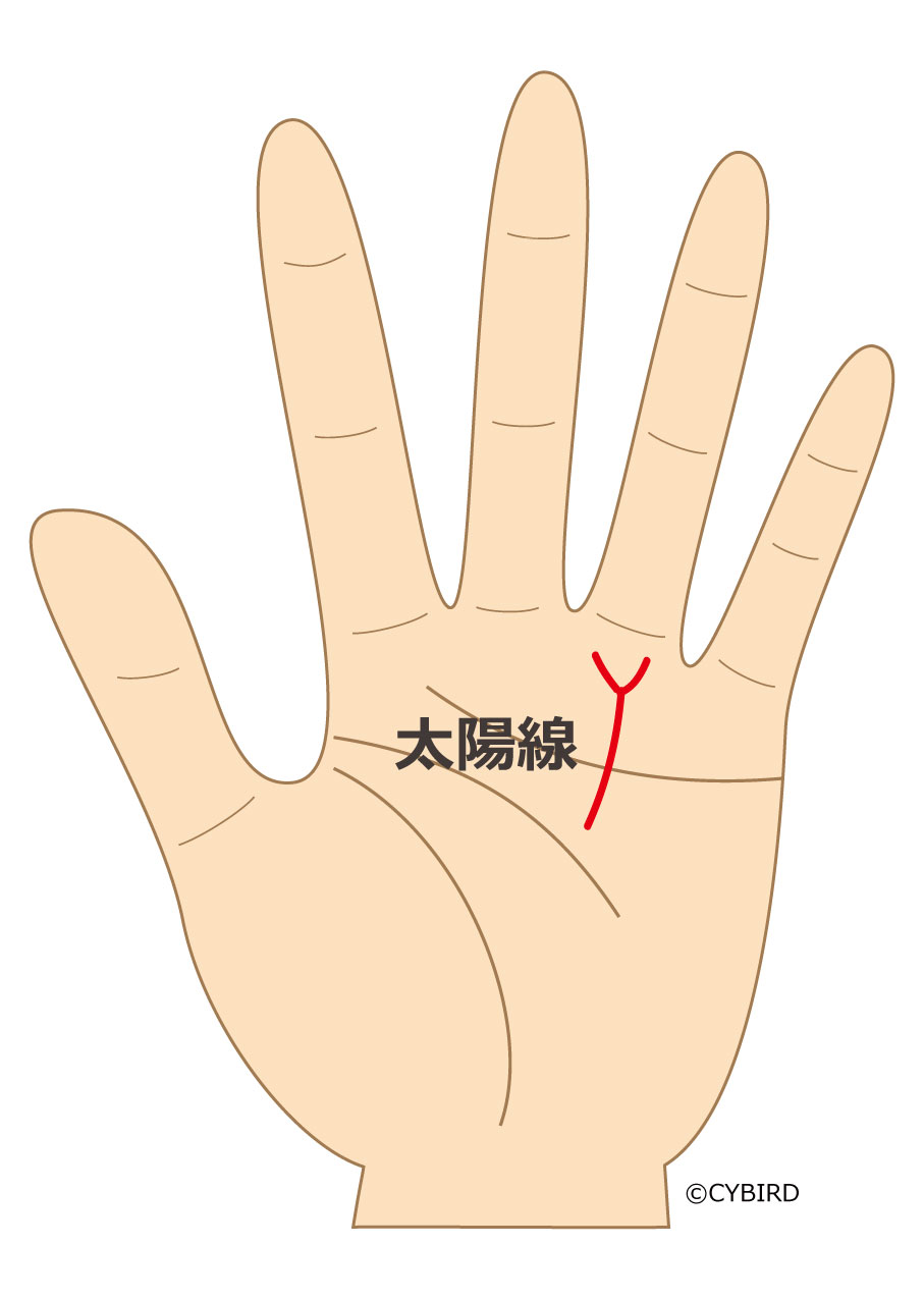 太陽線が薬指の付け根に向かって二股に分かれている場合