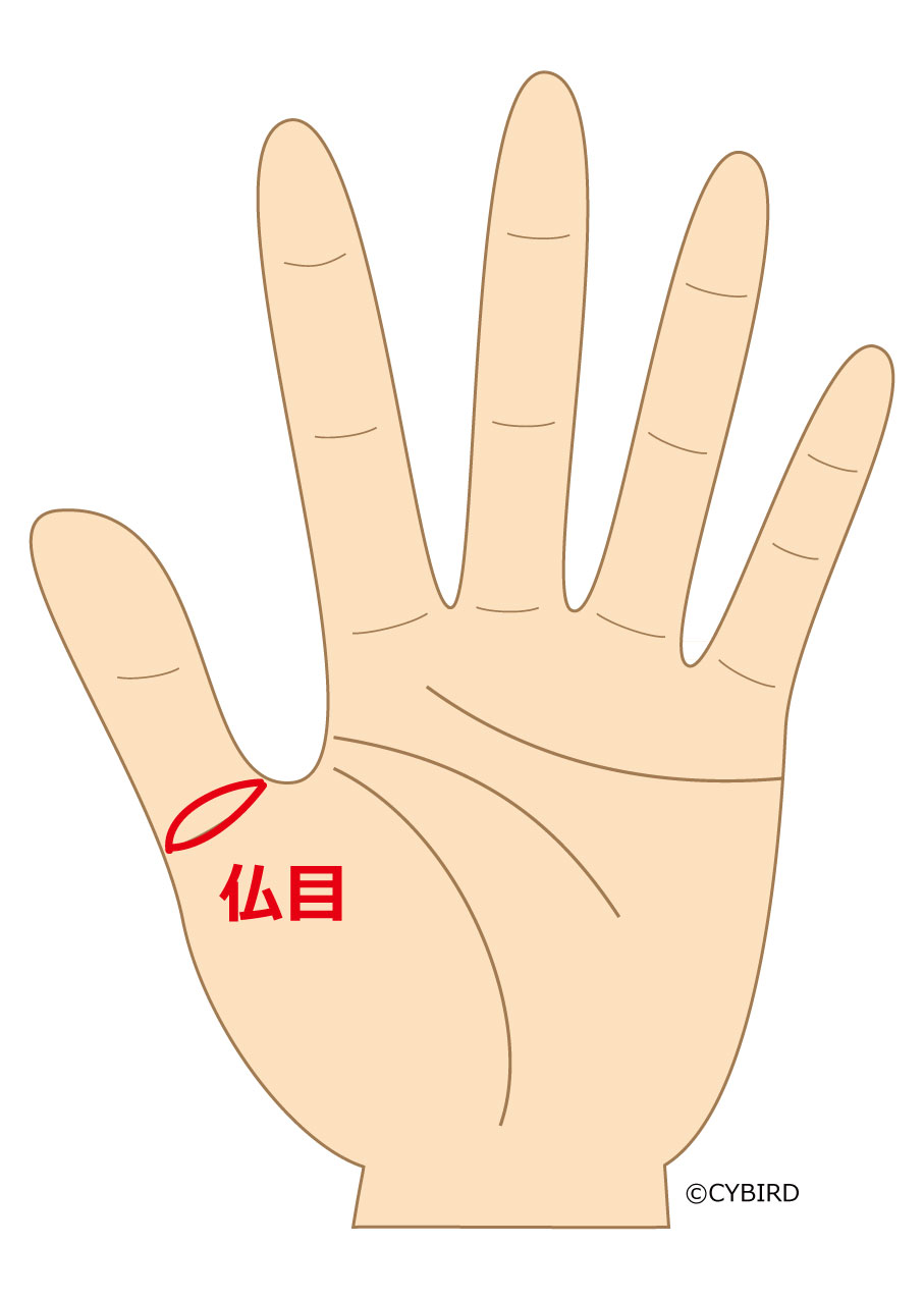 【稀に見られる2つの仏眼相!】