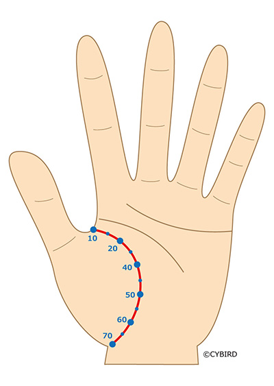 「生命線」短い?長い?枝分かれ?生命線と手相の見方が明らかに! Relia(リリア)