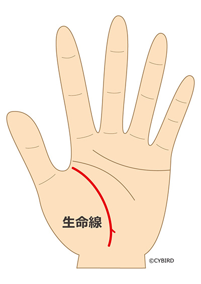 生命線が二股に分かれている場合
