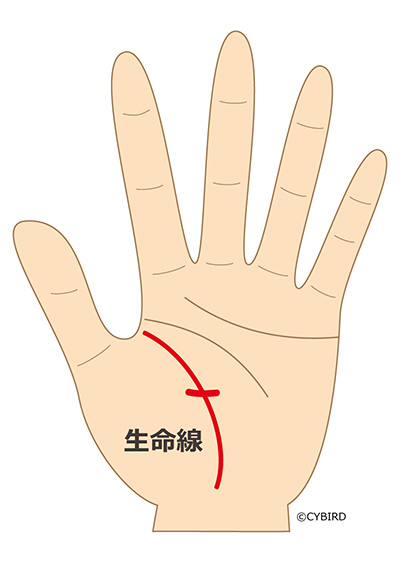 生命線を横切る線がある場合