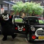 熊本県×熊本県オールトヨタのコラボ!くまモンレンタカー始動