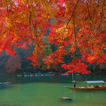 もうすぐ紅葉の季節!古都京都のオススメ紅葉スポットを紹介します!