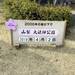 山梨県が誇る桜の名所 「大法師さくら祭り」ご紹介します