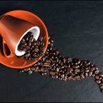 コーヒー通に“肝臓”の損傷を軽減か|500近い機能をもつ臓器を珈琲が救える?