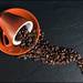 コーヒー通に“肝臓”の損傷を軽減か|500近い機能をもつ臓器を珈琲が救える?