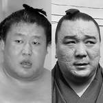 悪いのは日馬富士か相撲協会かマスコミか…|ひたすら複雑化される“ただの”暴行事件