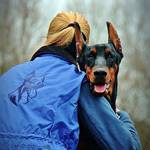 凶暴犬700頭を更生!訓練士が厳しくも愛ある訓練を「プロフェッショナル」に続ける理由に反響