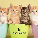 「ねこブーム」は東京五輪を超える経済効果!政界、美術界など各国の中心”にいる猫たちも